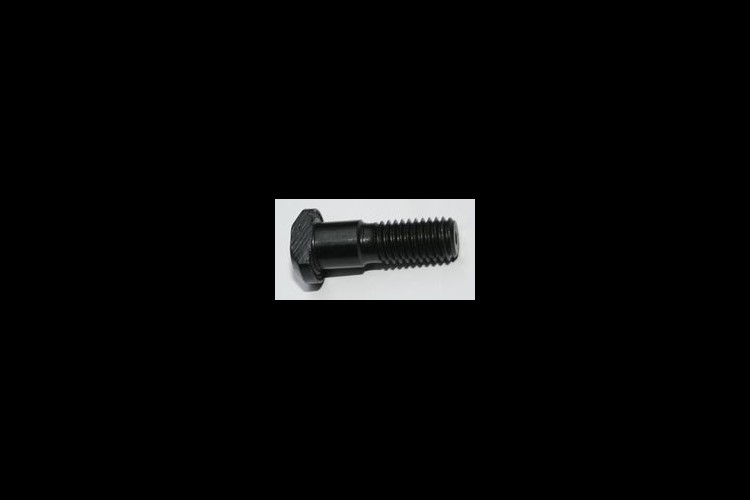 Screw for fixing coupling 10x31x5