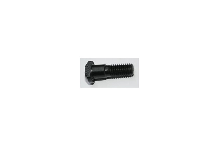 Screw for fixing coupling 10x31x5