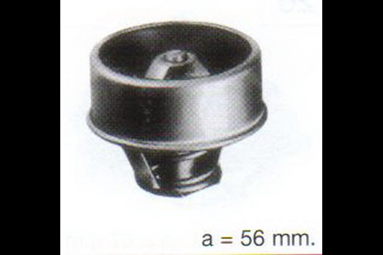 THERMOSTAT IN HOSE 75GR